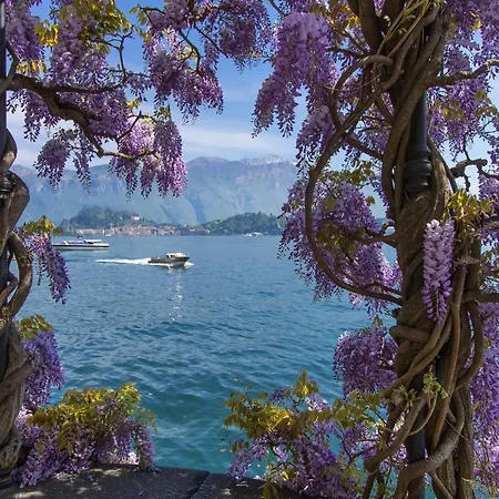 Margherita Grande Cadenabbia